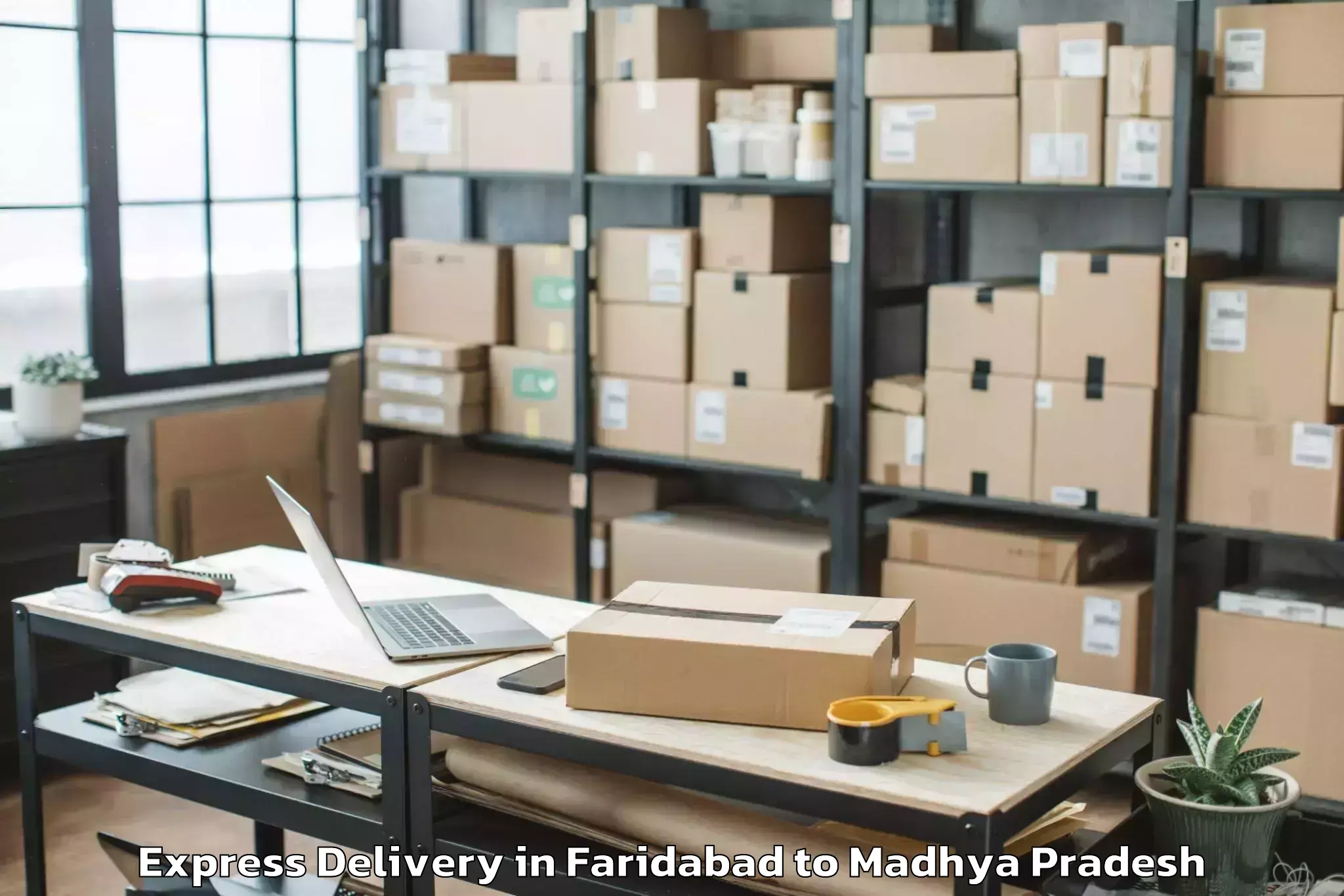 Discover Faridabad to Manpur Express Delivery